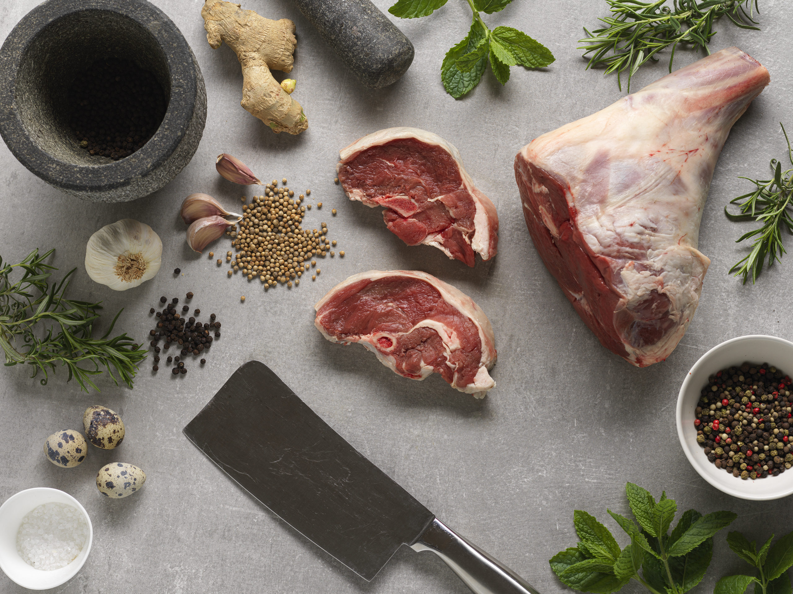 NORTHGATE LAMB 7